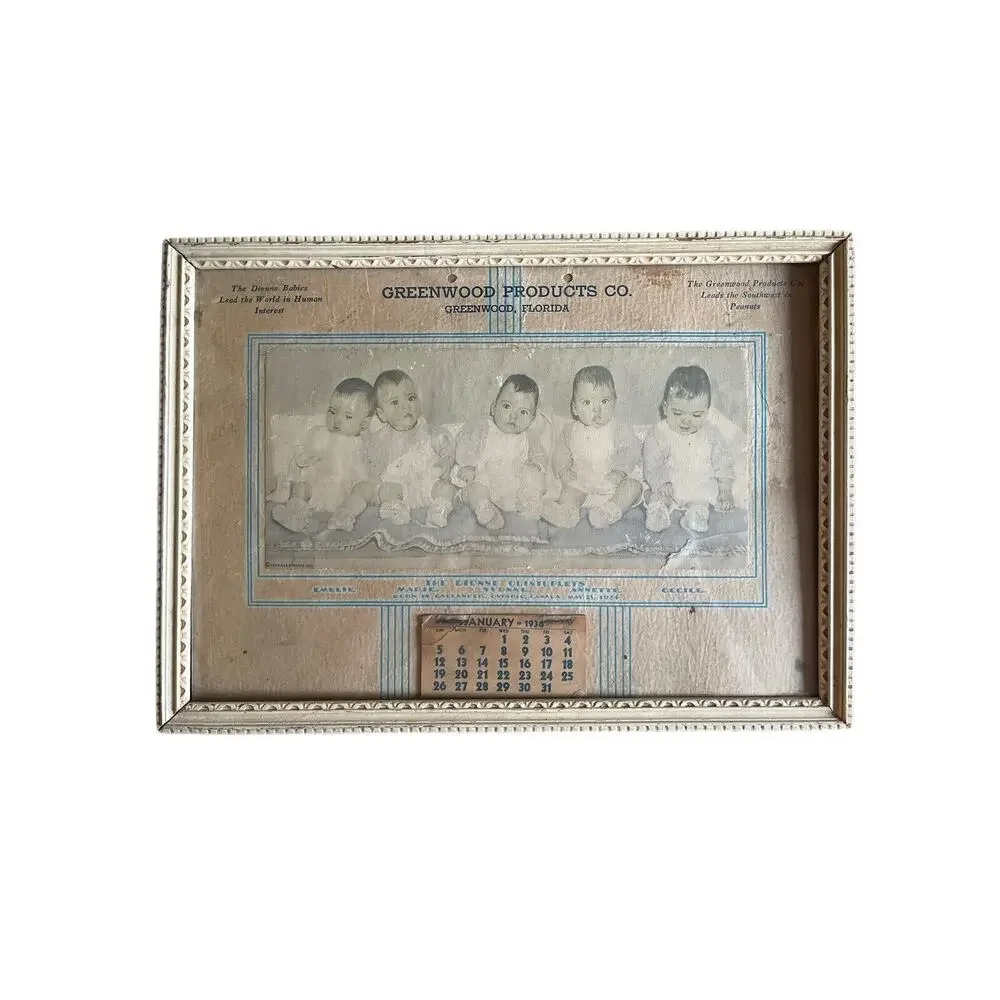 Dionne Quintuplets Vintage 1936 Advertising Calendar With Picture & Names Framed